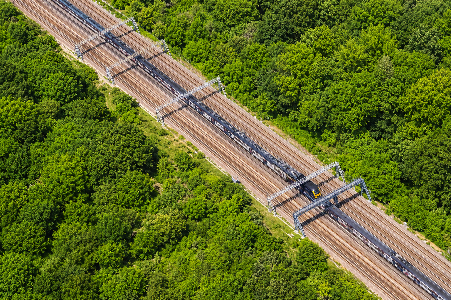 An aerial view of railway tracks running through dense green woodland, with a train travelling along the line.